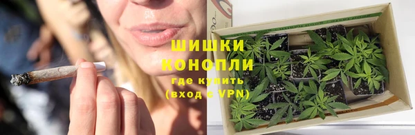 ПСИЛОЦИБИНОВЫЕ ГРИБЫ Балахна