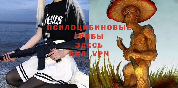 ПСИЛОЦИБИНОВЫЕ ГРИБЫ Балахна