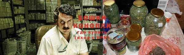 ПСИЛОЦИБИНОВЫЕ ГРИБЫ Балахна