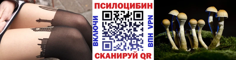 Псилоцибиновые грибы мухоморы  купить наркотик  Белореченск 